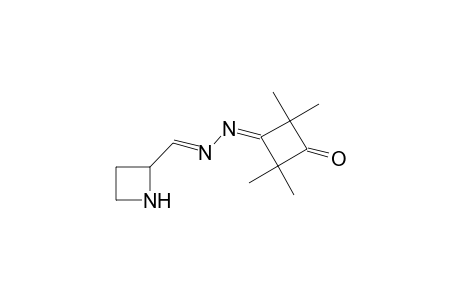 Azetidine-4-carbaldehyde-[(2',2',4',4'-tetramethyl-3'-oxocyclobutylidene)hydrazone]