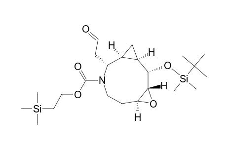 (1R*,2S*,3R*,5S*,9R*,10S*)-(+-)-2-[(tert-Butyldimethylsilyl)oxy]-9-(2-oxoethyl)-4-oxa-8-azatricyclo[8.1.0.0(3,5)]undecane-8-carboxylic acid 2-(trimethylsilyl)ethyl ester