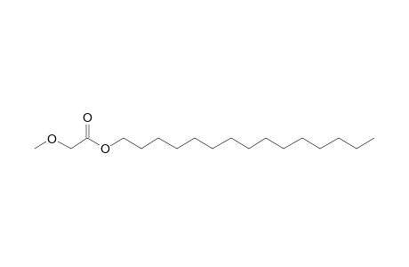 Methoxyacetic acid, pentadecyl ester