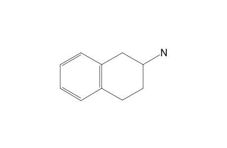 1,2,3,4-tetrahydro-2-naphthylamine