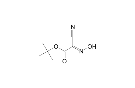 tert-Butyl (2E)-cyano(hydroxyimino)ethanoate