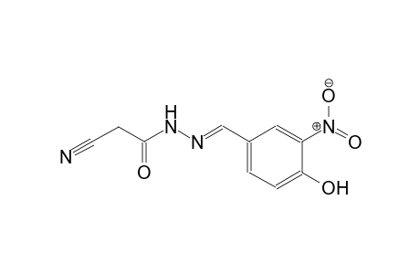 2-cyano-N'-[(E)-(4-hydroxy-3-nitrophenyl)methylidene]acetohydrazide