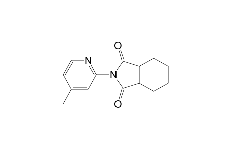 N-(4-Methylpyridin-2-yl)-1,2,3,4,5,6-hexahydrophthalimide