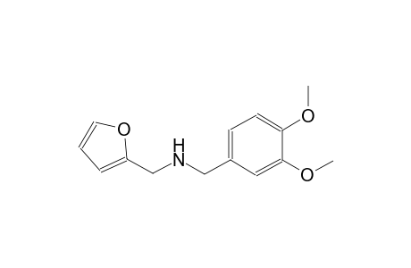 (3,4-dimethoxyphenyl)-N-(2-furylmethyl)methanamine