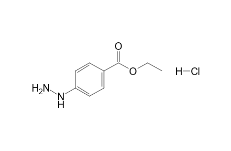 4-Ethoxycarbonylphenylhydrazine hydrochloride