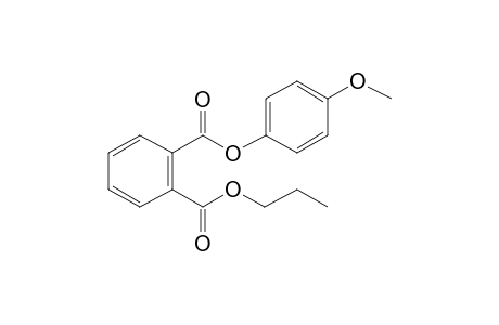 Phthalic acid, 4-methoxyphenyl propyl ester