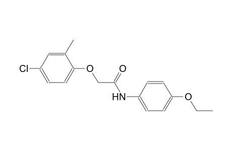 2-(4-chloro-2-methylphenoxy)-N-(4-ethoxyphenyl)acetamide