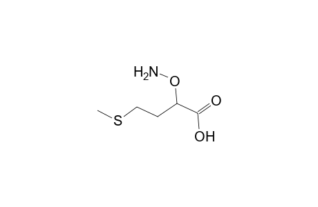 Butanoic acid, 2-(aminooxy)-4-(methylthio)-