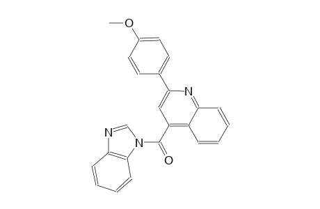 4-(1H-benzimidazol-1-ylcarbonyl)-2-(4-methoxyphenyl)quinoline