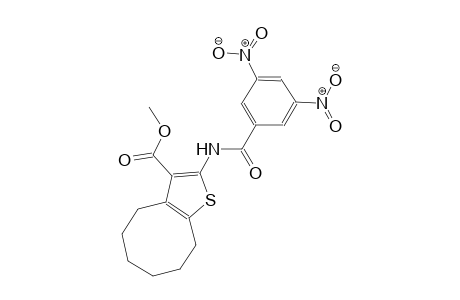 cycloocta[b]thiophene-3-carboxylic acid, 2-[(3,5-dinitrobenzoyl)amino]-4,5,6,7,8,9-hexahydro-, methyl ester