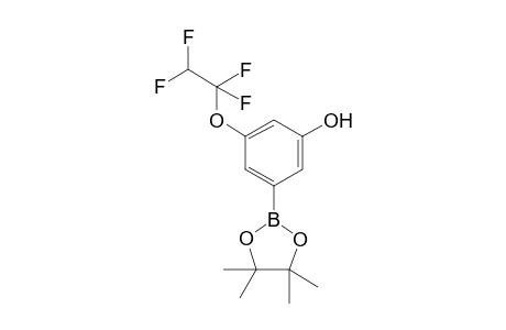 3-(1,1,2,2-tetrafluoroethoxy)-5-(4,4,5,5-tetramethyl-1,3,2-dioxaborolan-2-yl)phenol