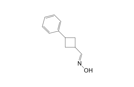 3-Phenylcyclobuanecarboxaldoxime