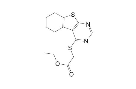 ethyl (5,6,7,8-tetrahydro[1]benzothieno[2,3-d]pyrimidin-4-ylsulfanyl)acetate