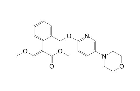 Methyl (E)-3-methoxy-2-[2-[(5-morpholino-2-pyridyl)oxymethyl]phenyl]prop-2-enoate