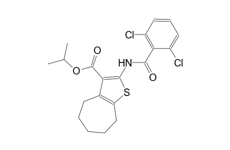isopropyl 2-[(2,6-dichlorobenzoyl)amino]-5,6,7,8-tetrahydro-4H-cyclohepta[b]thiophene-3-carboxylate