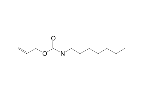 Carbonic acid, monoamide, N-heptyl-, allyl ester