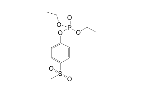 Phosphoric acid, diethyl p-(methylsulfonyl)phenyl ester