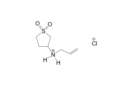 N-allyltetrahydro-3-thiophenaminium 1,1-dioxide chloride