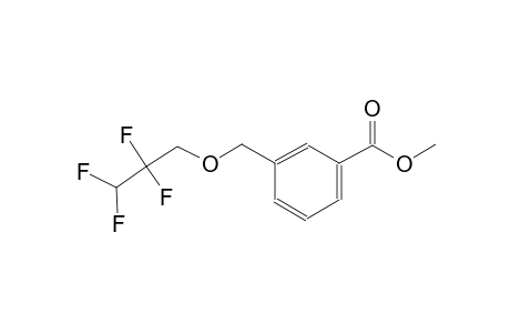 methyl 3-[(2,2,3,3-tetrafluoropropoxy)methyl]benzoate