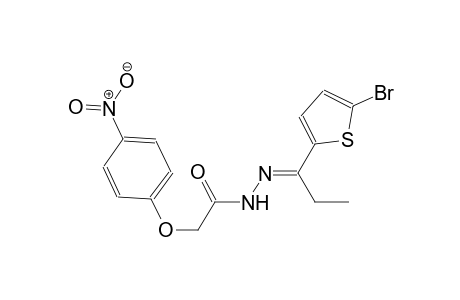 N'-[(E)-1-(5-bromo-2-thienyl)propylidene]-2-(4-nitrophenoxy)acetohydrazide