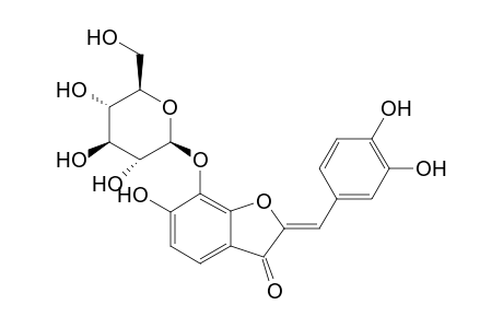 (Z)-7-O-.beta.,D-Glucopyranosyl-6,7,3',4'-tetrahydroxyaurone