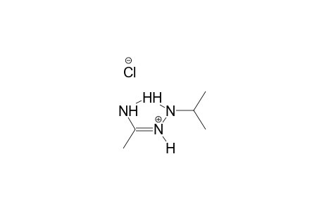 1-ISOPROPYLACETAMIDRAZONIUM CHLORIDE