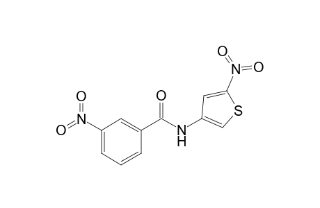 5-Nitro-3-thiophene-(3'-nitro)carboxanilide