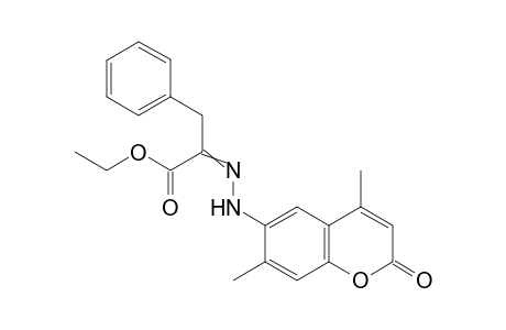 a-[(E)-2-(4',7'-Dimethyl-2'-oxo-2H-1'-benzopyran-6'-yl)hydrazono]-benzenepropanoic acid ethyl ester