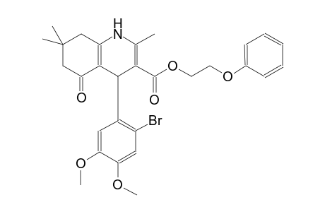3-quinolinecarboxylic acid, 4-(2-bromo-4,5-dimethoxyphenyl)-1,4,5,6,7,8-hexahydro-2,7,7-trimethyl-5-oxo-, 2-phenoxyethyl ester