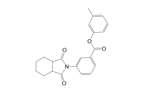 benzoic acid, 3-(octahydro-1,3-dioxo-2H-isoindol-2-yl)-, 3-methylphenyl ester