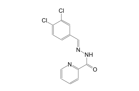 N'-[(E)-(3,4-dichlorophenyl)methylidene]-2-pyridinecarbohydrazide