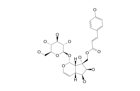 4''-HYDROXY-E-GLOBULARININ
