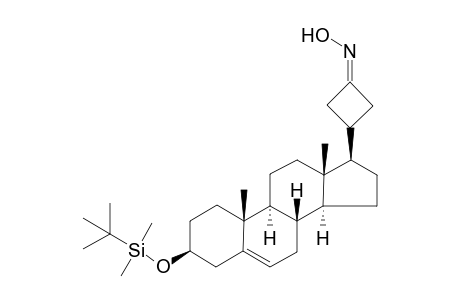 3.xi.-[3'.beta.-tert-Butyldimethylsilyloxyandrost-5'-en-17'.beta.-yl]-1-(hydroxyimino)cyclobutane