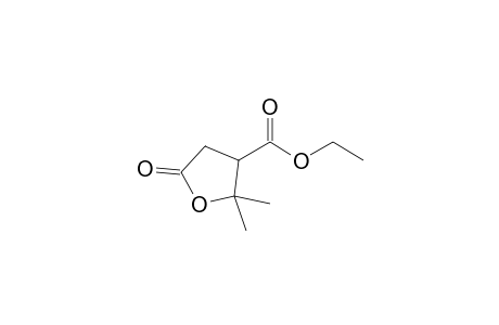 2,2-Dimethyl-5-oxo-3-oxolanecarboxylic acid ethyl ester