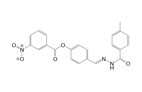 benzoic acid, 3-nitro-, 4-[(E)-[2-(4-methylbenzoyl)hydrazono]methyl]phenyl ester