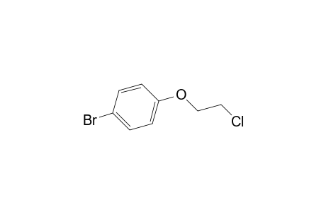 4-Bromophenyl 2-chloroethyl ether