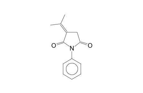 3-(1-Methylethylidene)-1-phenyl-2,5-pyrrolidinedione