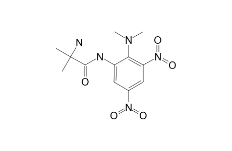2-AMINO-N-[2-(DIMETHYLAMINO)-3,5-DINITROPHENYL]-2-METHYLPROPANAMIDE