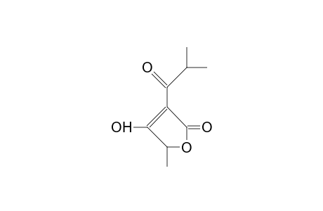 3-Isobutyryl-5-methyl-tetronic acid
