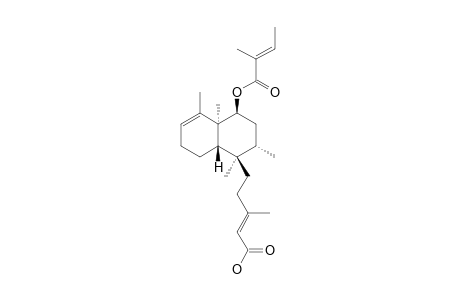 6-BETA-TIGLOYLOXYKOLAVENIC-ACID