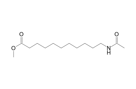 Undecanoic acid, 11-acetamido-, methyl ester