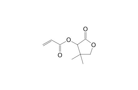 acrylic acid (2-keto-4,4-dimethyl-tetrahydrofuran-3-yl) ester