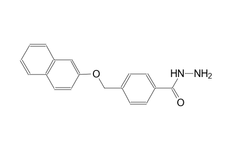 4-[(2-naphthyloxy)methyl]benzohydrazide