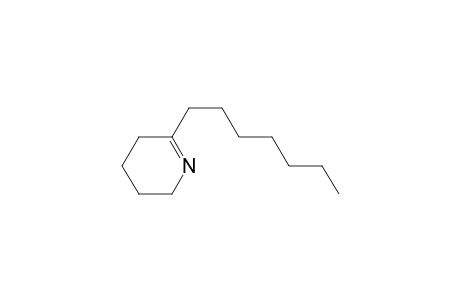6-Heptyl-2,3,4,5-tetrahydropyridine