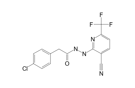 2-(4-CHLORO-BENZYL-CARBONYL)-HYDRAZINO-3-CYANO-6-TRIFLUOROMETHYL-PYRIDINE
