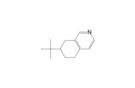 7-tert-Butyl-5,6,7,8-tetrahydroisoquinoline