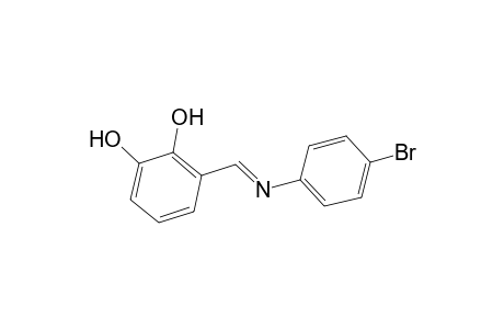 3-[(4-bromo-phenylimino)-methyl]-benzene-1,2-diol