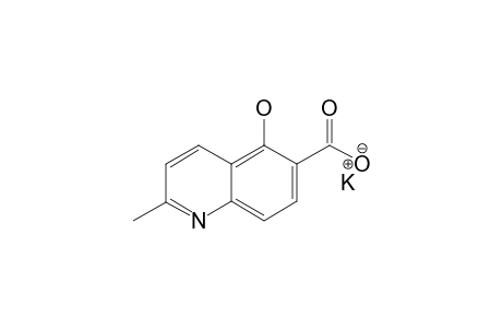 2-METHYL-5-HYDROXYQUINOLINE-6-CARBOXYLIC-ACID-POTASSIUM-SALT;SOLID-STATE