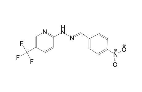 benzaldehyde, 4-nitro-, [5-(trifluoromethyl)-2-pyridinyl]hydrazone
