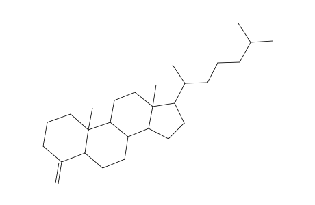 5.alpha.-Cholestane, 4-methylene-